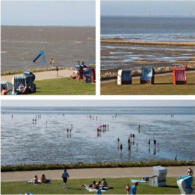 Deichwohnung Strandweg 7 Friedrichskoog-Spitz Exteriér fotografie