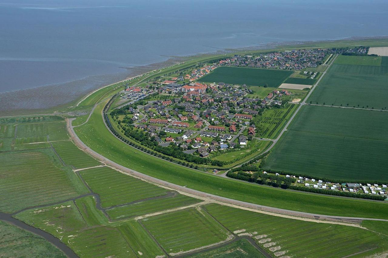 Deichwohnung Strandweg 7 Friedrichskoog-Spitz Exteriér fotografie